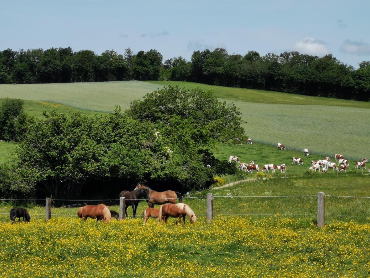 Gite Du Colombier Le Fied Exterior photo